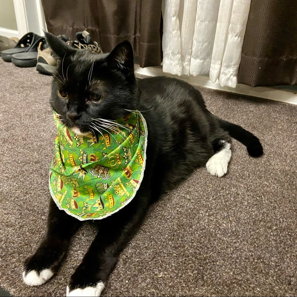 Handcrafted Handmade Hand Sewn Handkerchief and Ties for Small Dogs / Cats - Picture 7 of 7